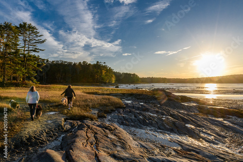 Dog Walk On A Maine Afternoon