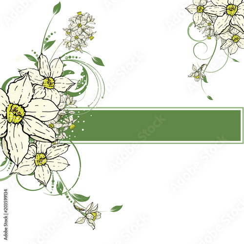  hand drawing  Narcissus flowers background.