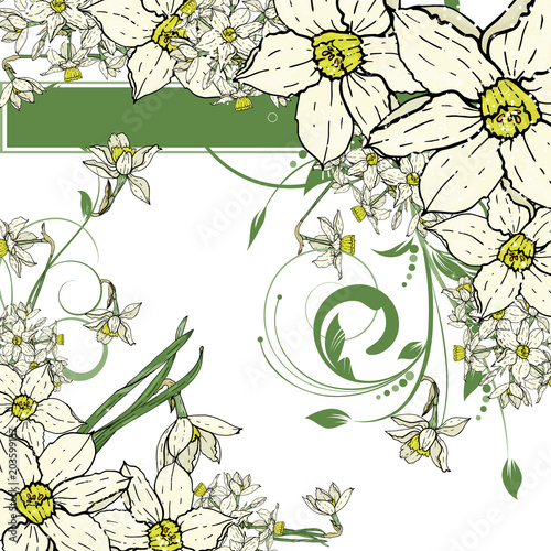  hand drawing  Narcissus flowers background.