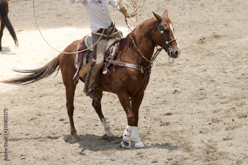 Mexican charro on horseback performing a lasso trick