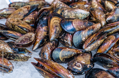 Fresh mussels in a fish market