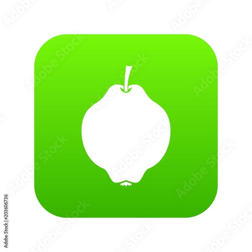 Quince fruit icon digital green for any design isolated on white vector illustration