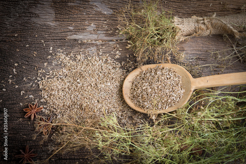 Dill with seeds in wooden spoon on old wooden background,Food herb for healthy photo