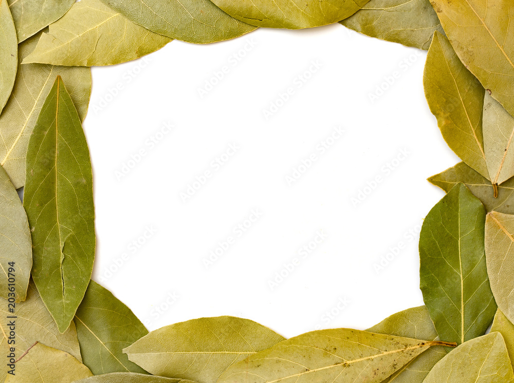 Bay Leaves on a White Background Bay Leaves on a White Background