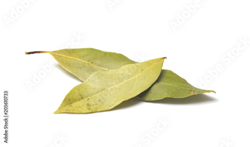 Bay Leaves on a White Background
