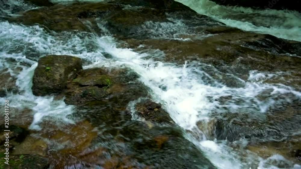 Mountain river with rapids and waterfalls - stream flowing through thick green forest. Stream in dense wood Mountain river with rapids and waterfalls - stream flowing through thick green forest. Stream in dense wood