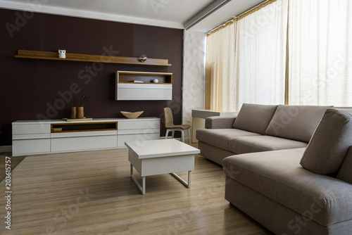 Light room interior with grey sofa and table