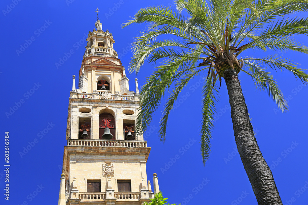 Cordoba bell tower of Cathedral of Our Lady of the Assumption, Spain