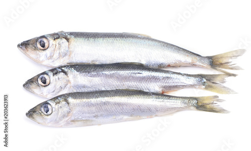 Fish sprat