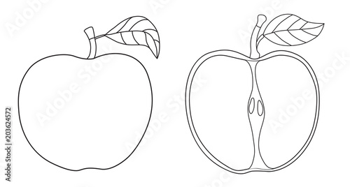 Cartoon contour outline apple with leaf isolated on white background. Vector illustration.