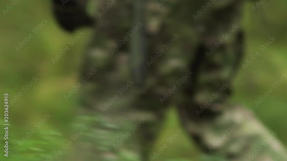 a man is walking through a forrest of finland, europe, in autumn a man is walking through a forrest of finland, europe, in autumn
