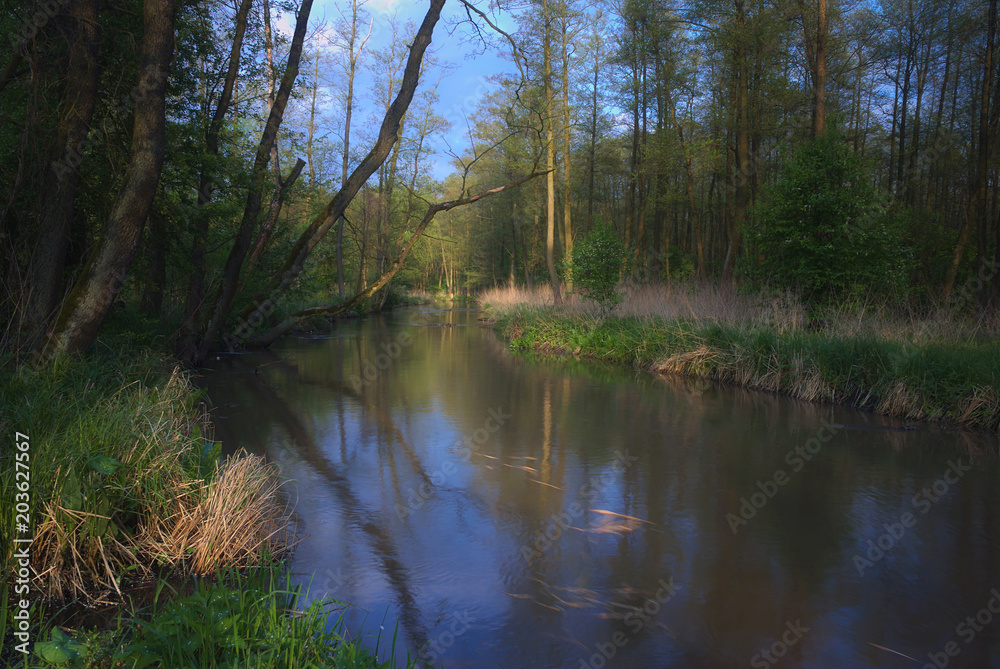 Spokojna rzeka