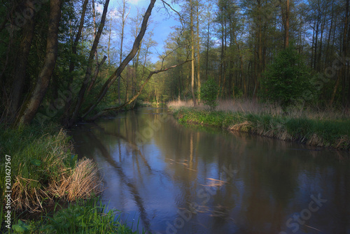 Spokojna rzeka