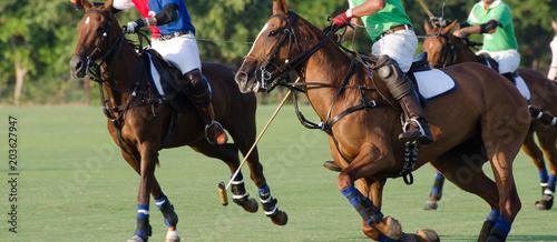 Horse running in polo tournament.