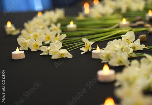 Fototapeta Naklejka Na Ścianę i Meble -  Beautiful white daffodils and candles on black background