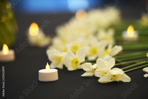 Beautiful white daffodils and candles on black background
