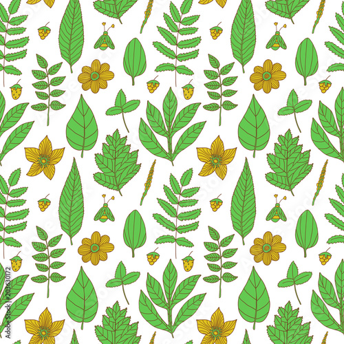Wallpaper Mural Vector seamless pattern with flowers, leaves and berries. Natural floral hand drawing texture. Torontodigital.ca