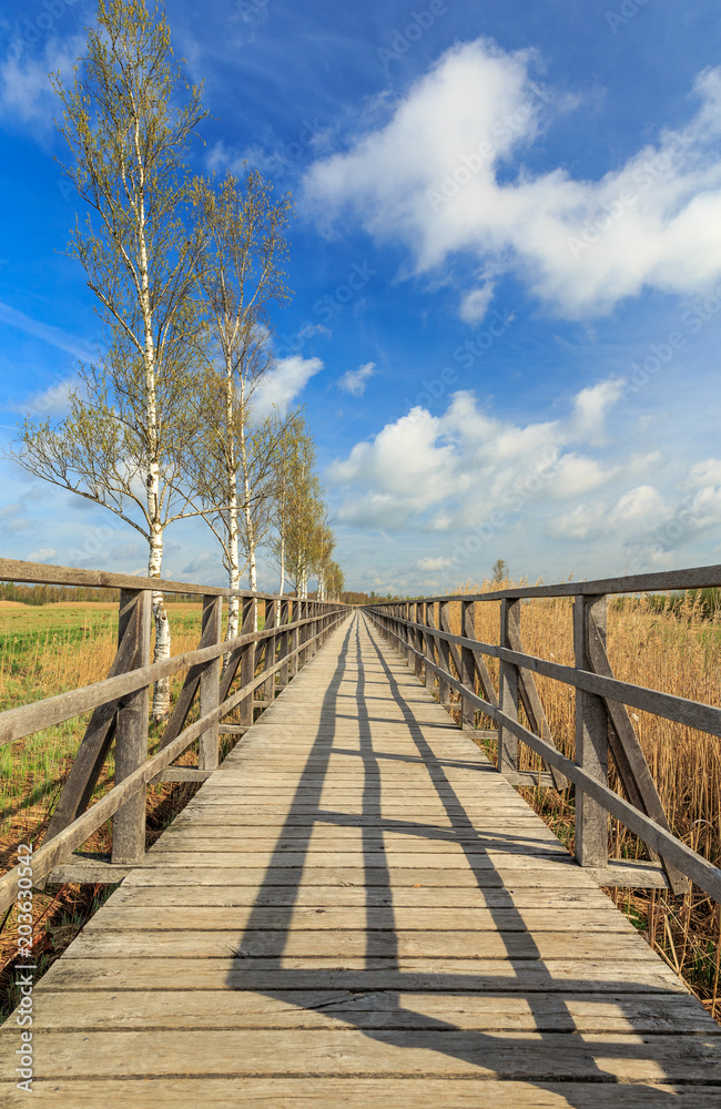 Fototapeta premium Der Federseesteg ins Naturschutzzentrum in Bad Buchau
