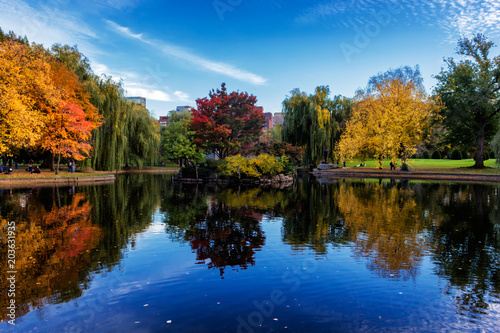 Pond in Boston Common Garden surrounded by colorful trees in fall season