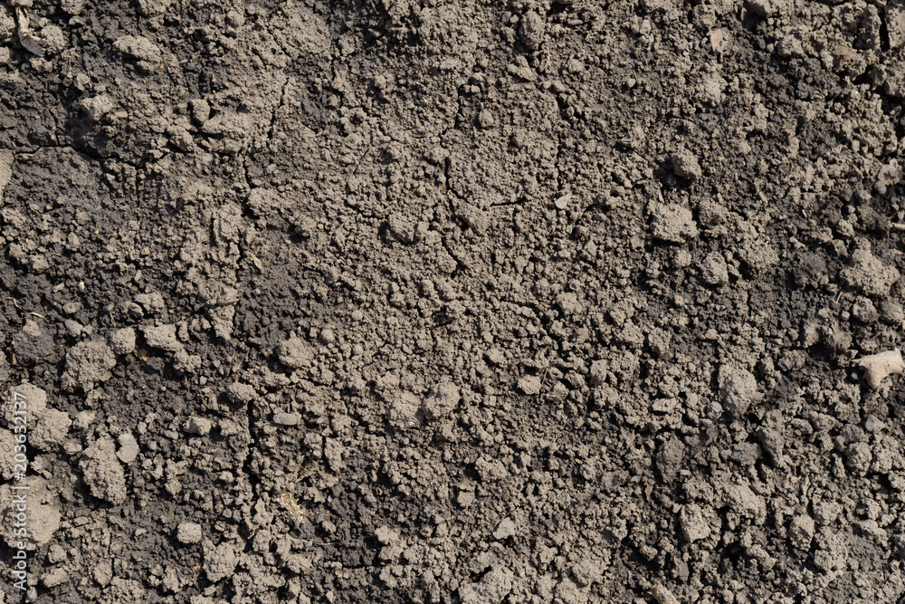 texture of fertile moist soil. View from above texture of fertile moist soil. View from above