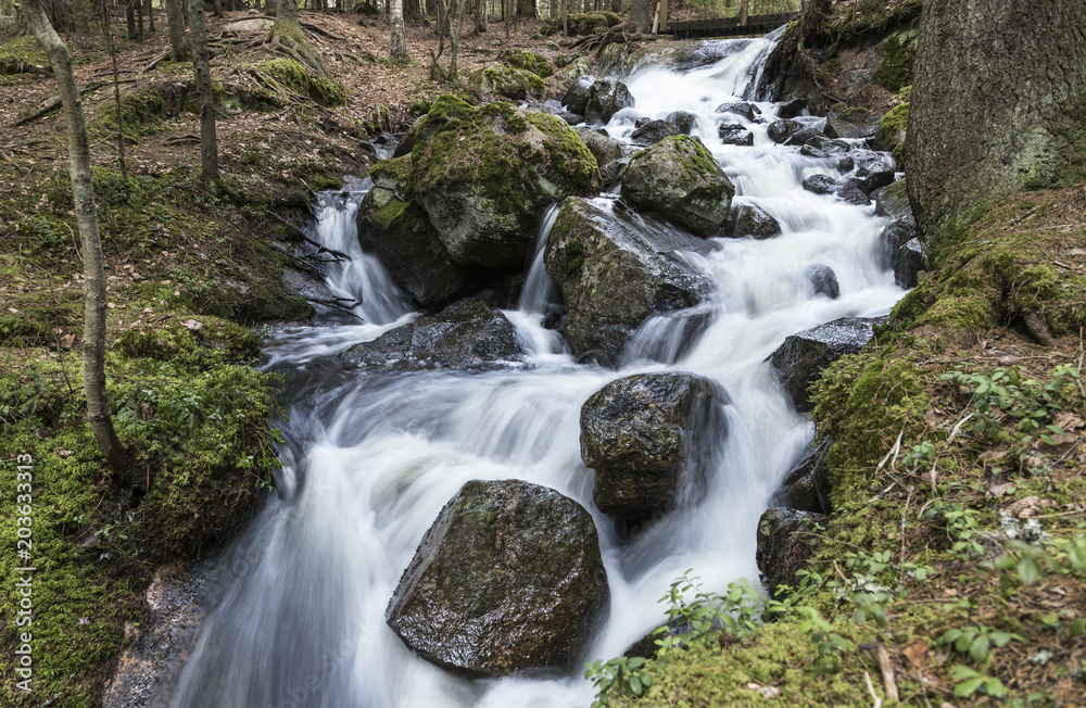 Fototapeta premium Beautiful stream in spring forest