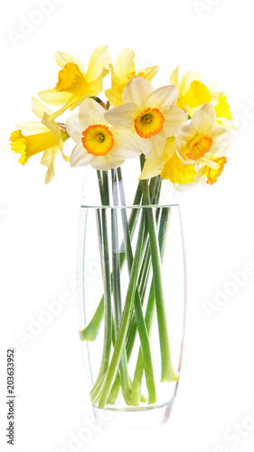 Fototapeta Naklejka Na Ścianę i Meble -   Flower narcissus