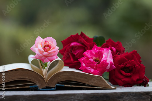 Pages of book curved into a heart shape and roses. Valentines day card background.