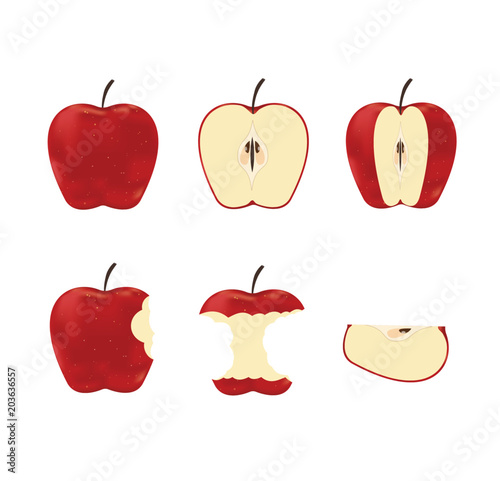 Vector illustration of set red ripe apples isolated on white background