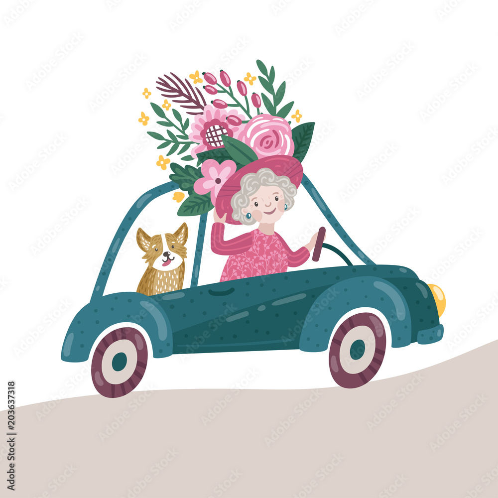 Vector illustration of woman and corgi dog in the car. Beautiful summer travel concept. Bright card with traveling senior woman. Vector illustration of woman and corgi dog in the car. Beautiful summer travel concept. Bright card with traveling senior woman.