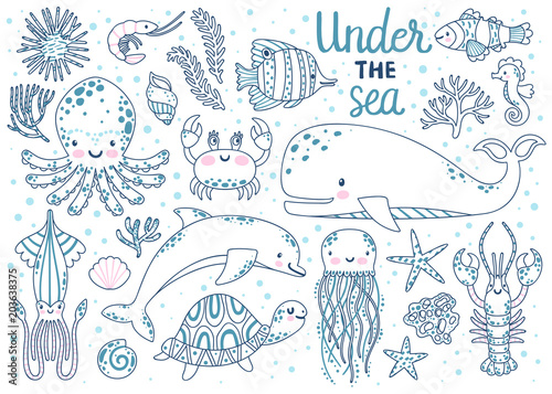 Kids coloring page. Vector set of underwater animals: octopus, whale, turtle, dolpin, jellyfish, crab, lobster, seahorse, squid, clownfish, butterflyfish, seaplants and corals. Coloring book page.