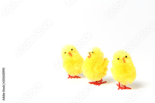 three easter chicks