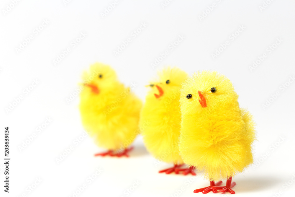 Three Easter chickens on a white background