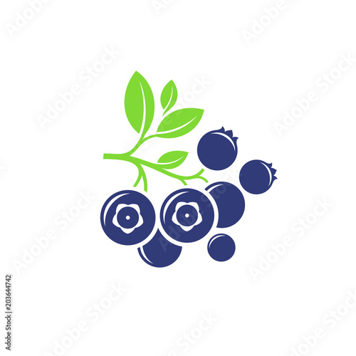 Blueberry. Abstract branch with berries on white background. Vector illustration