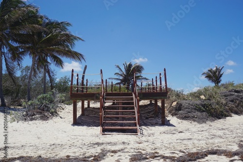 Steg auf Kuba  Cayo Coco