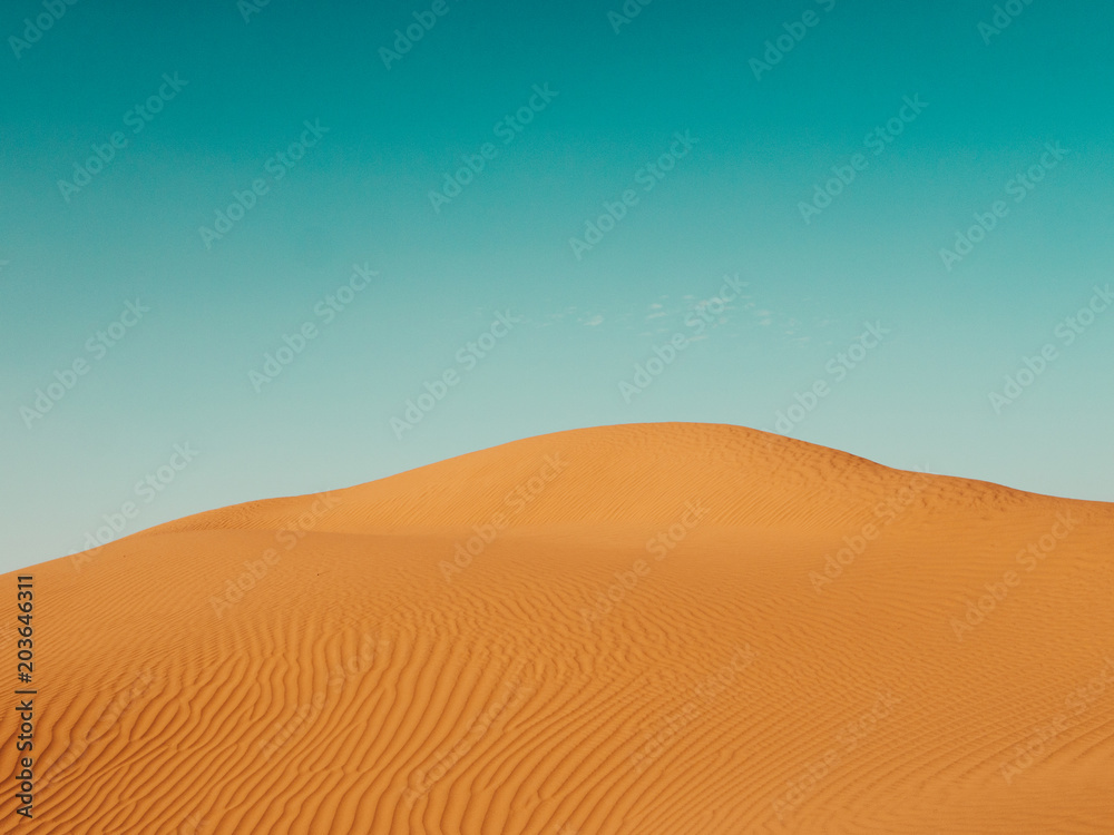 Sand Dunes in the Sahara Desert
