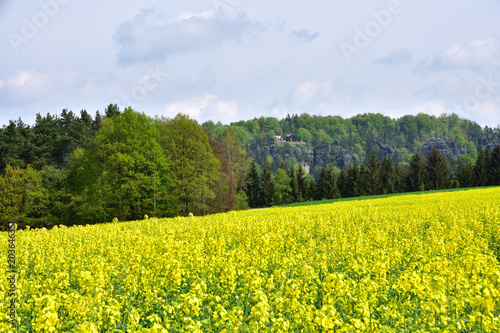 Blick von Waltersdorf zum Brand