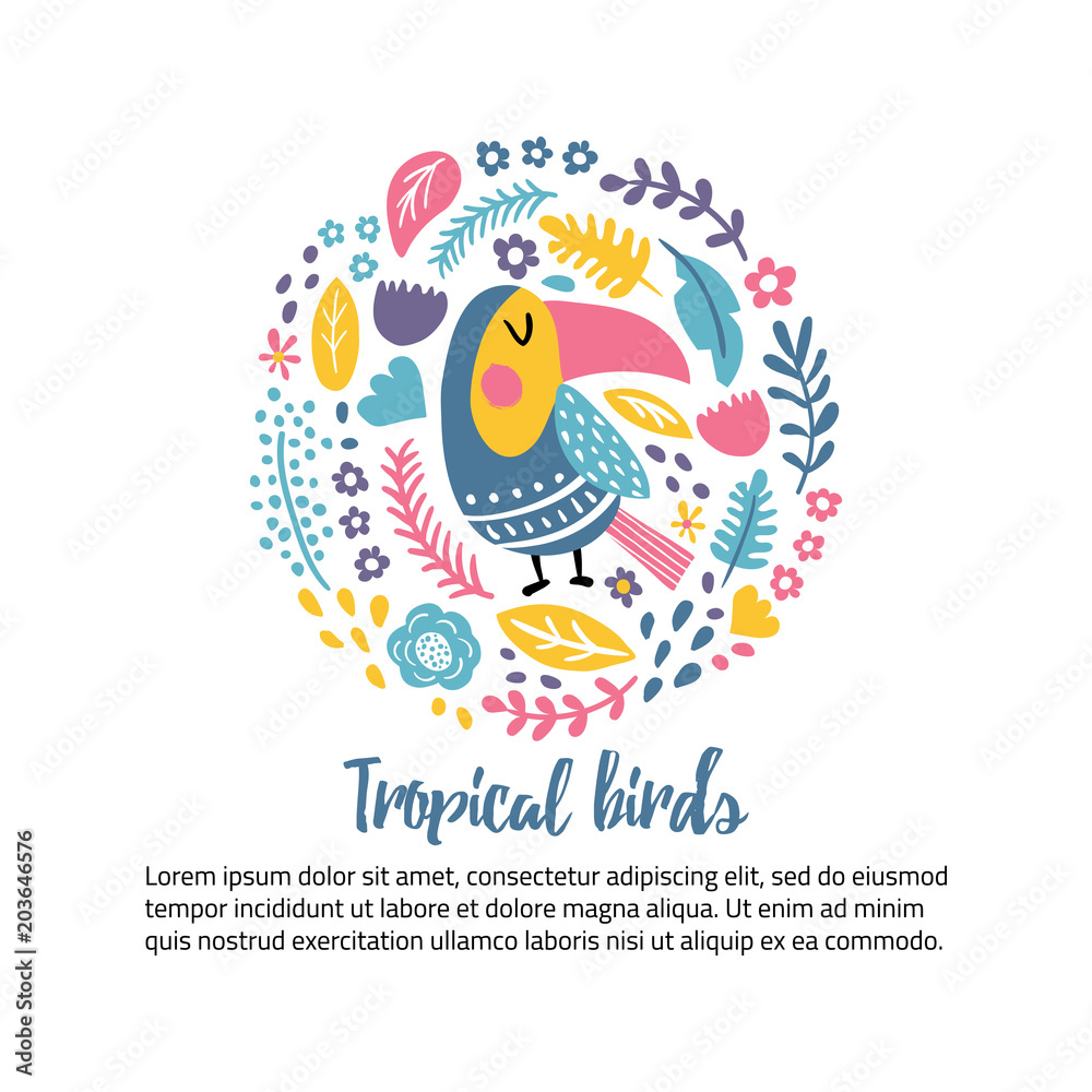 Obraz premium toucan circle
