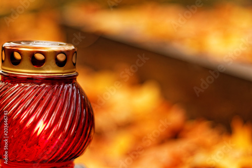 Photography Red snitch on cementery
