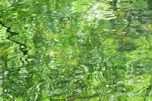 Nature background of green summer foliage reflection on clear pond waters