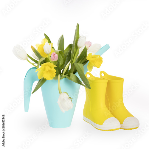 Fototapeta Naklejka Na Ścianę i Meble -  the Yellow rubber boots and blue watering can with a bouquet of flowers of yellow daffodils and white and pink tulips on the white background. Garden accessories.