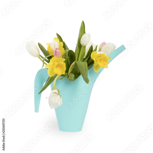 the Blue plastic watering can with a bouquet of flowers of yellow daffodils and white and pink tulips on the white background. Garden accessories.