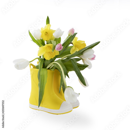 Fototapeta Naklejka Na Ścianę i Meble -  the Yellow rubber boots with a bouquet of flowers of yellow daffodils and white and pink tulips on white background. Garden accessories.