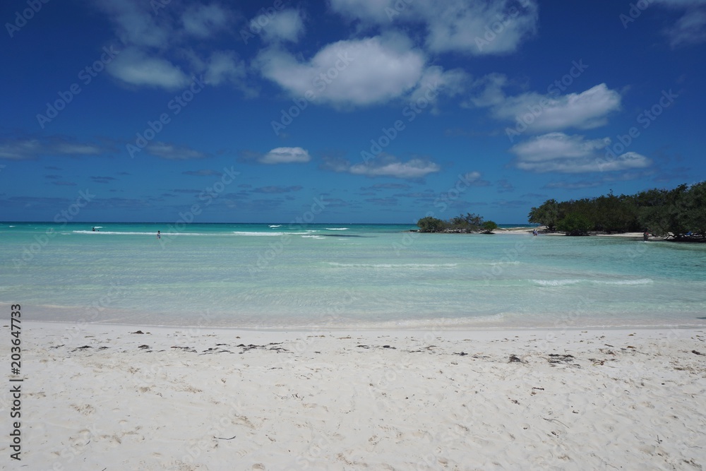 Strand mit Mangroven auf Cayo Coco, Jardines Del Rey, Kuba
