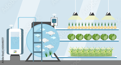 Growing plants in the greenhouse. Smart farm with wireless control. Eco farm with aquaponics system of planting vegetables. Vector illustration.