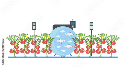 Growing plants in the greenhouse. Smart farm with wireless control. Eco farm with aquaponics system of planting vegetables. Vector illustration.