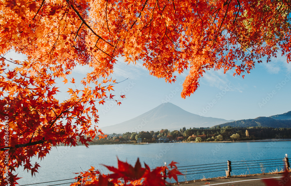 Obraz premium Fuji mountain view. The most famous mount in japan