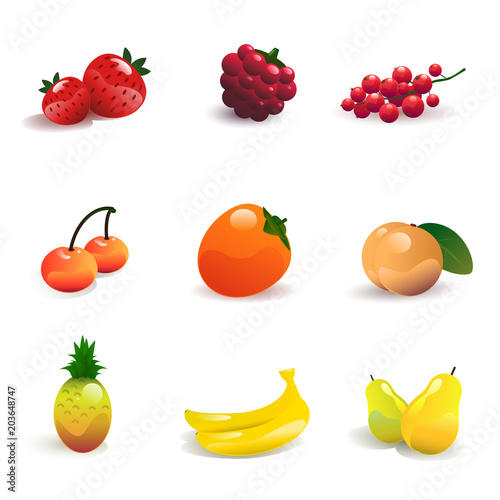 Fruit and berries set vector illustration