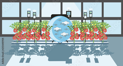 Growing plants in the greenhouse. Smart farm with wireless control. Eco farm with aquaponics system of planting vegetables. Vector illustration.