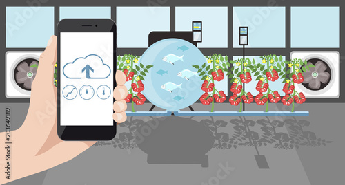 Growing plants in the greenhouse. Smart farm with wireless control. Eco farm with aquaponics system of planting vegetables. Vector illustration.