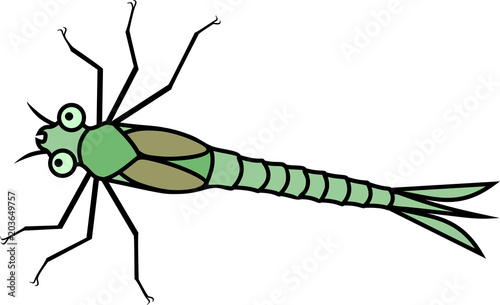 Green cartoon nymph of dragonfly on white background